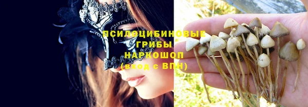 твердый Володарск
